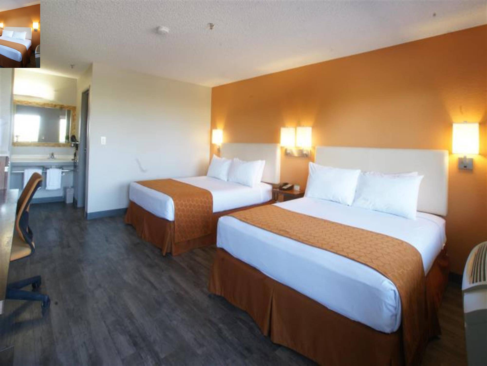 The Infusion Beach Club Palm Springs Eksteriør bilde